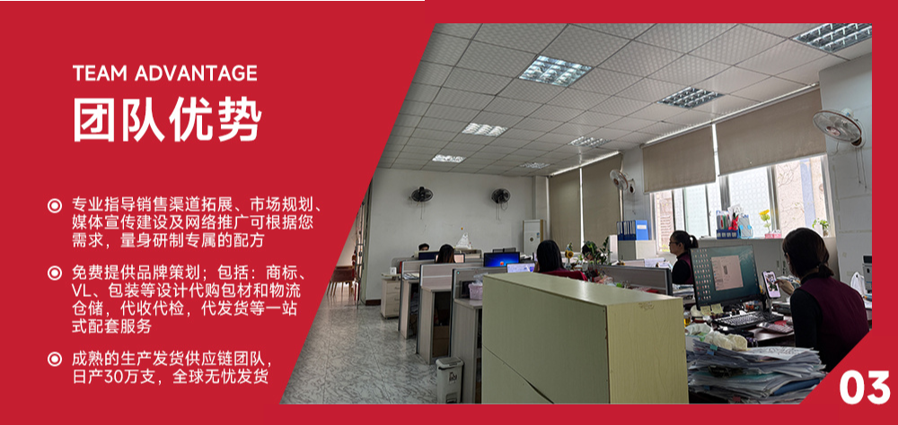 团队优势介绍